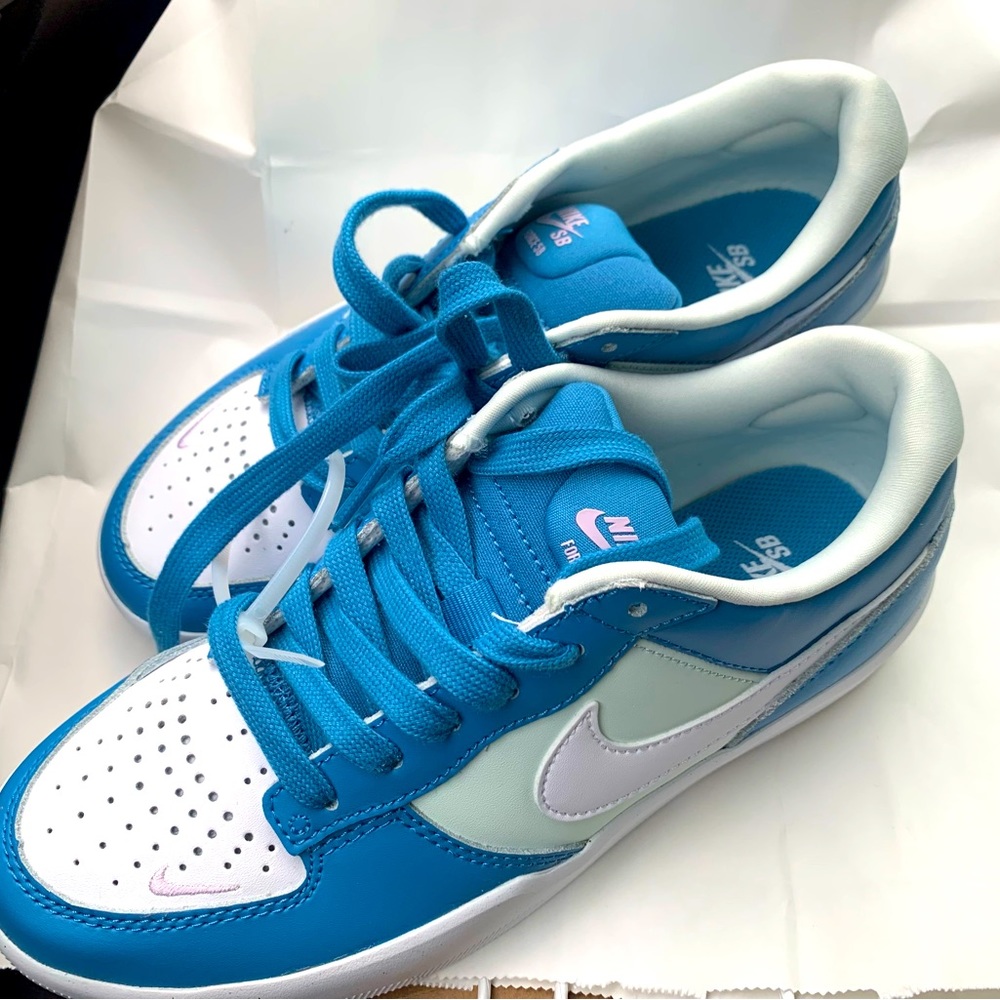 NWT! Nike Unisex SB Force 58 premium shoes in Dutch blue DH7505-400